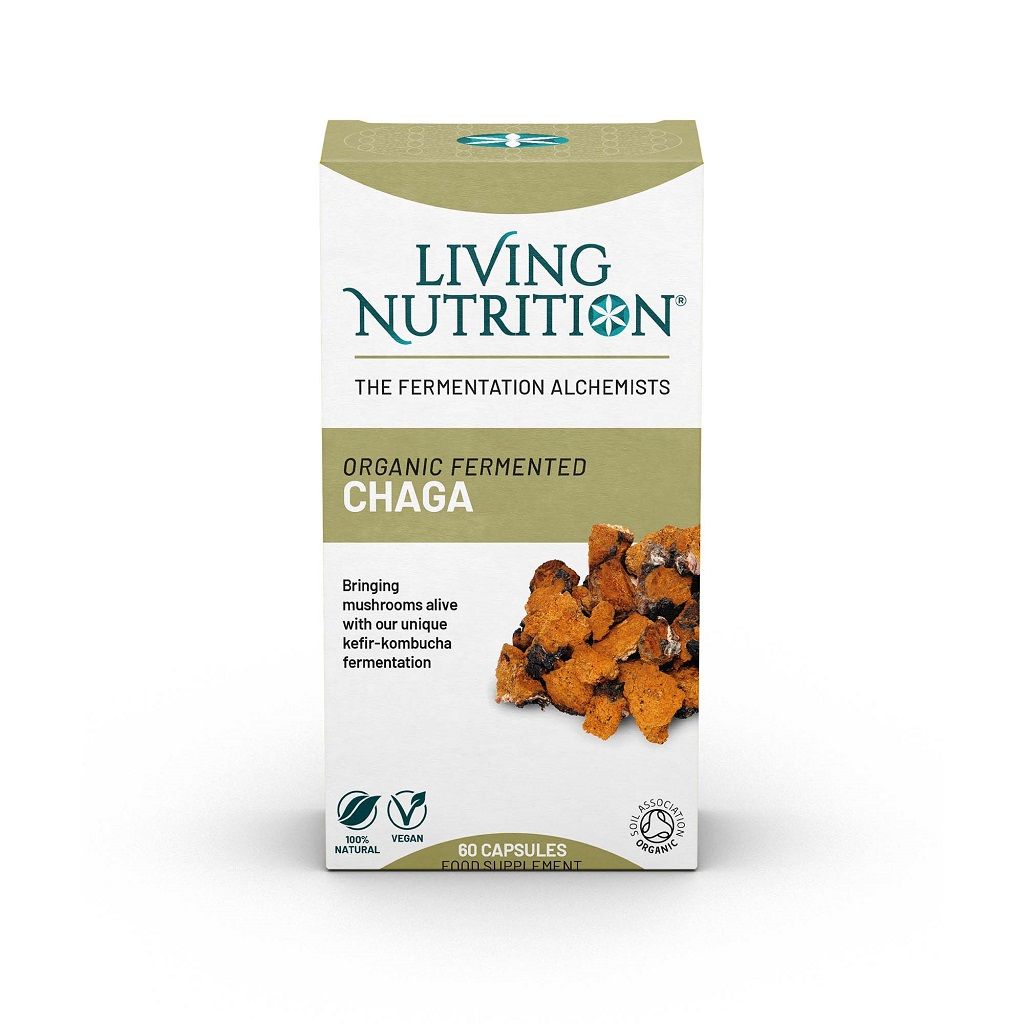 Fermented Chaga Bio