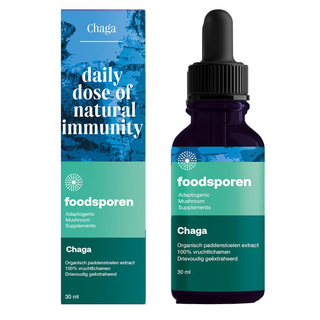 Chaga Paddenstoelen Extract