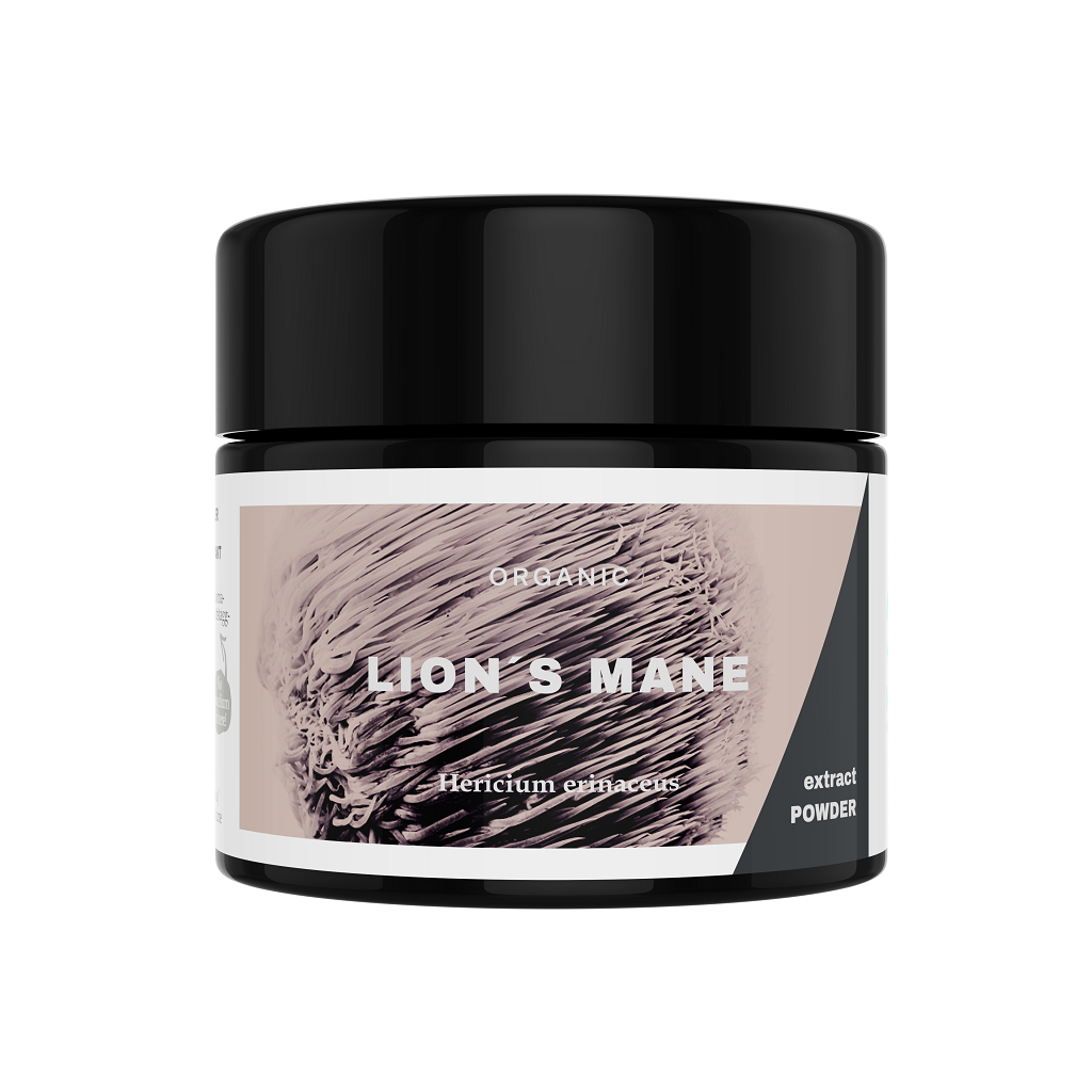 Lion's Mane Extract Poeder Bio